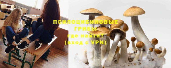 прущая мука Надым